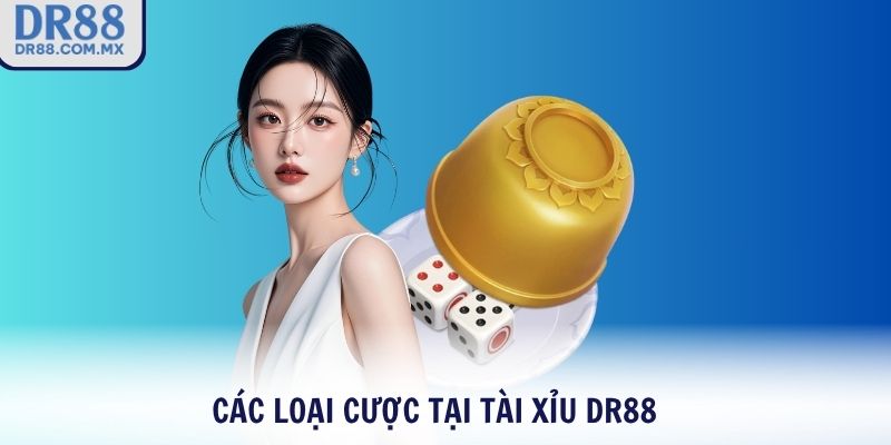 Tài Xỉu DR88 - Trải Nghiệm Cược Siêu Tốc Thắng Trong Tích Tắc - pezogi