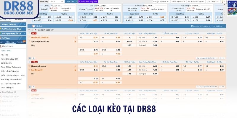 Thể Thao DR88 - Sân Chơi Cá Cược Uy Tín Minh Bạch Số 1 - pezogi