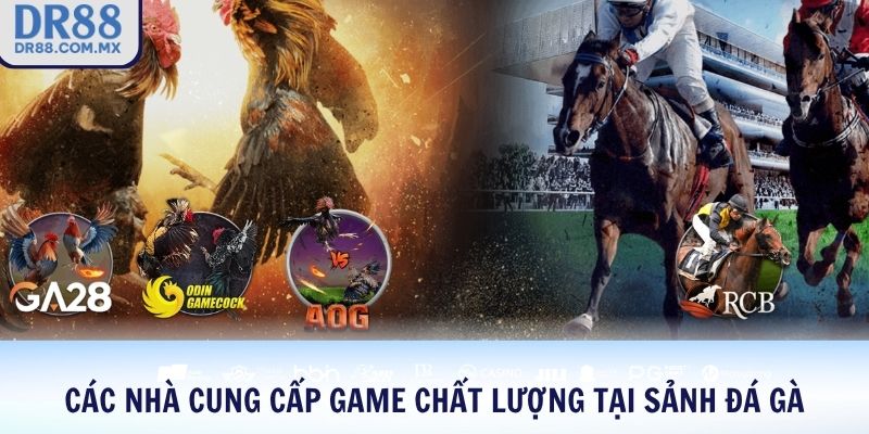 Đá Gà DR88 – Xem Gà Chiến Live Cược Thật Thắng Lớn - pezogi