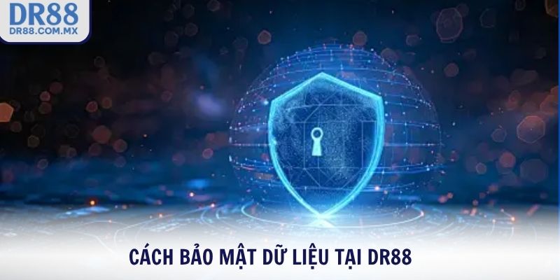 Quyền Riêng Tư DR88 – Cam Kết Bảo Mật Thông Tin Tuyệt Đối - pezogi