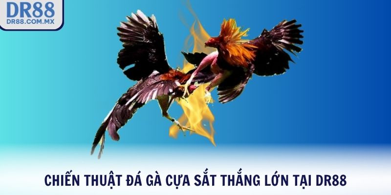Đá Gà Cựa Sắt DR88 – Môn Giải Trí Dân Gian Đỉnh Cao 2026 - pezogi