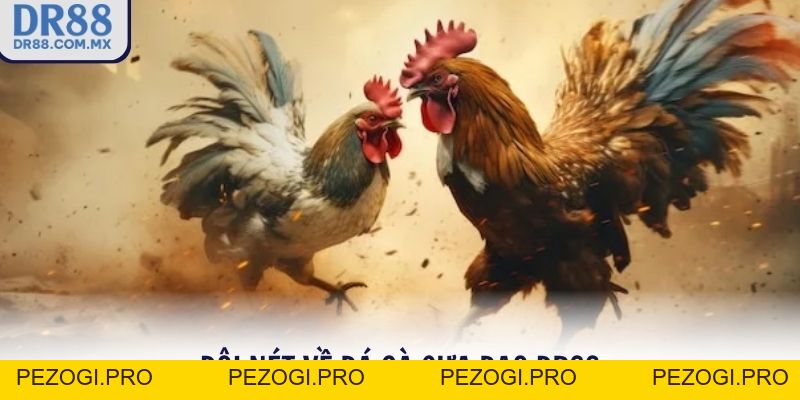 Đá gà cựa dao DR88 – Cược Thật Xem Thật Thắng Lớn Mỗi Trận - pezogi