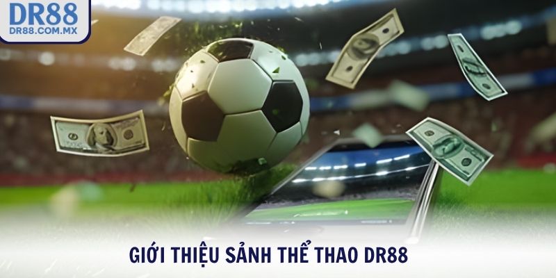 Thể Thao DR88 - Sân Chơi Cá Cược Uy Tín Minh Bạch Số 1 - pezogi