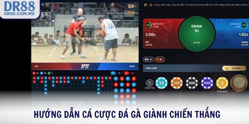 Đá Gà DR88 – Xem Gà Chiến Live Cược Thật Thắng Lớn - pezogi