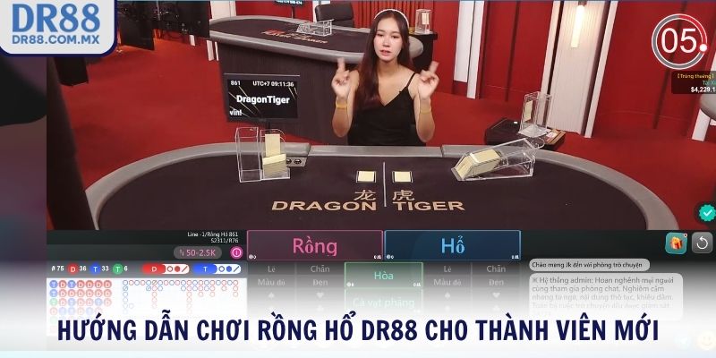Rồng Hổ DR88 – Trải Nghiệm Casino Chuyên Nghiệp Tại Nhà - pezogi