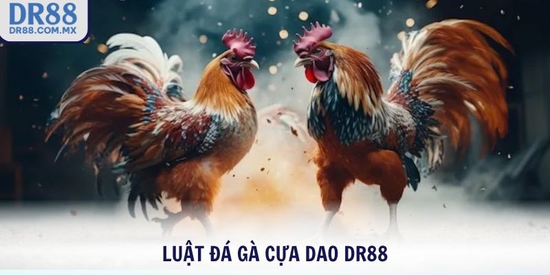 Đá gà cựa dao DR88 – Cược Thật Xem Thật Thắng Lớn Mỗi Trận - pezogi