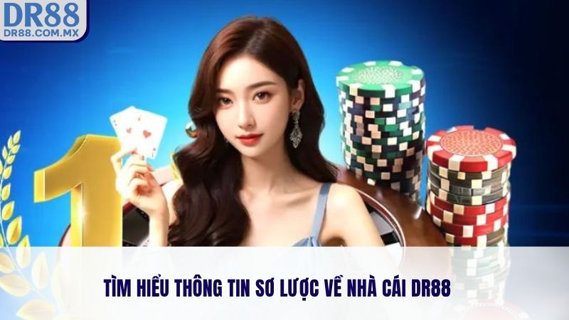 DR88 Có Hợp Pháp Không? Toàn Cảnh Về Tính Pháp Lý, Độ Uy Tín - pezogi