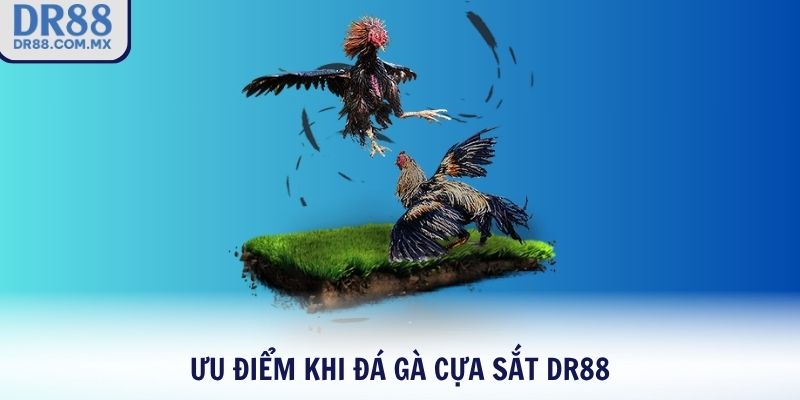 Đá Gà Cựa Sắt DR88 – Môn Giải Trí Dân Gian Đỉnh Cao 2026 - pezogi